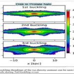 Motion of some stars holds clue of dark matter shape in barred galaxies