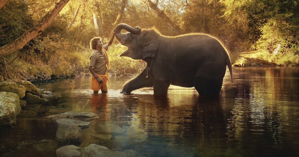 Following Its Oscar Win, “The Elephant Whisperers” Searches On Google Increased By 8,164%.