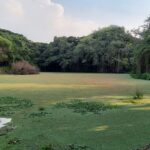पुणे: पीसीबी सोलापुर रोड के साथ ब्रिटिश-युग प्राकृतिक पानी के वसंत को फिर से जीवंत करता है